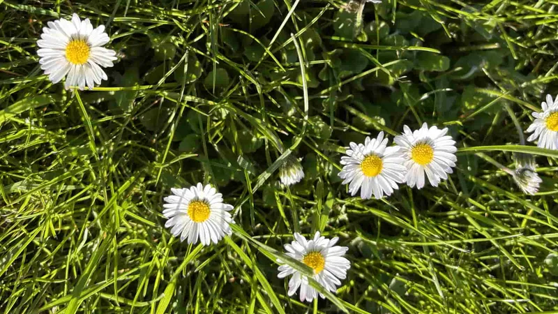 Monatsrückblick April 2026: Gartenhaus, erster Newsletter und was die Zahlen zeigen