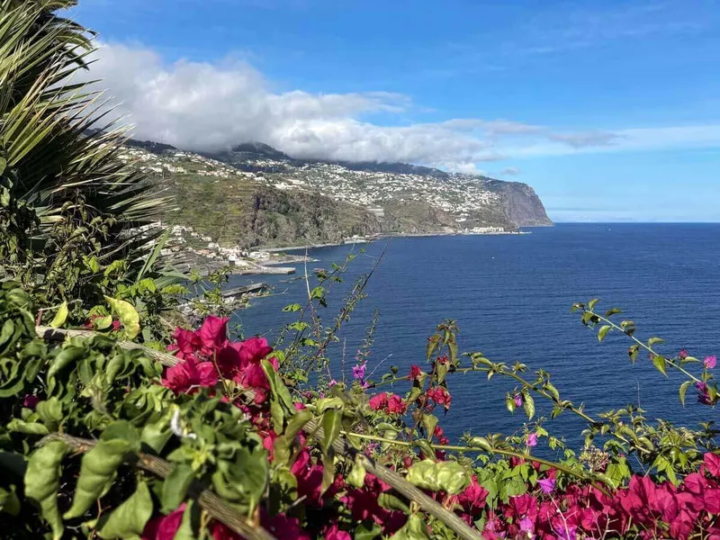 Madeira Wandern: Die schönsten Levada-Touren & ein Streifzug durch Funchal