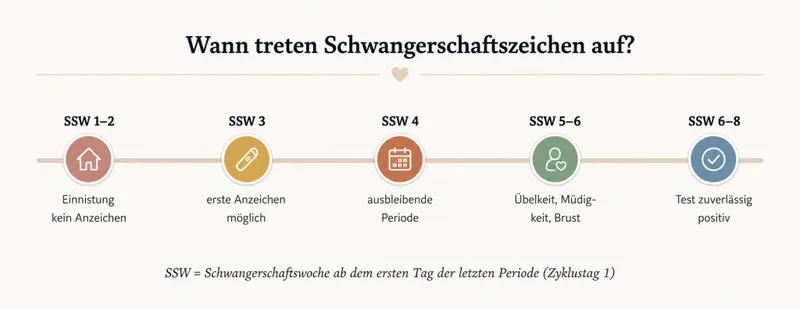 Schwangerschaftsanzeichen vor dem Test