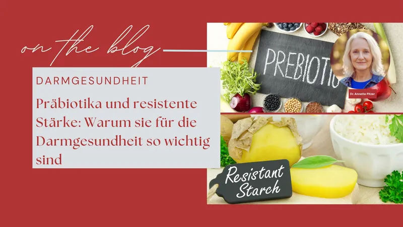 Präbiotika und resistente Stärke: Warum sie für die Darmgesundheit so wichtig sind