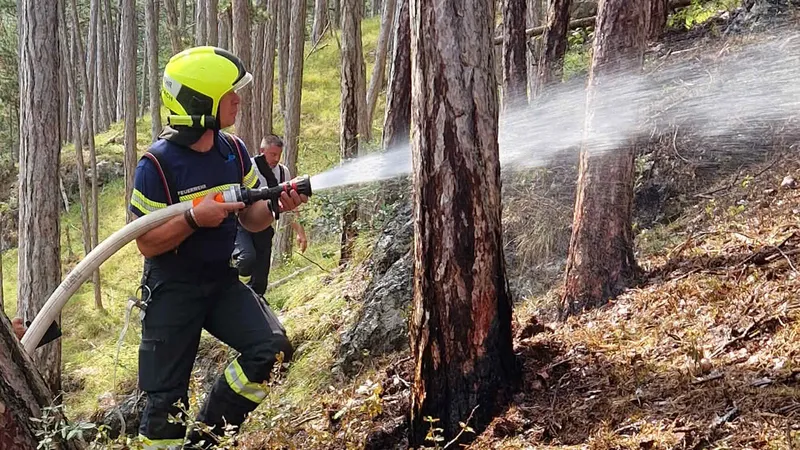 BFKDO Baden: Erneuter Waldbrand im Bezirk
