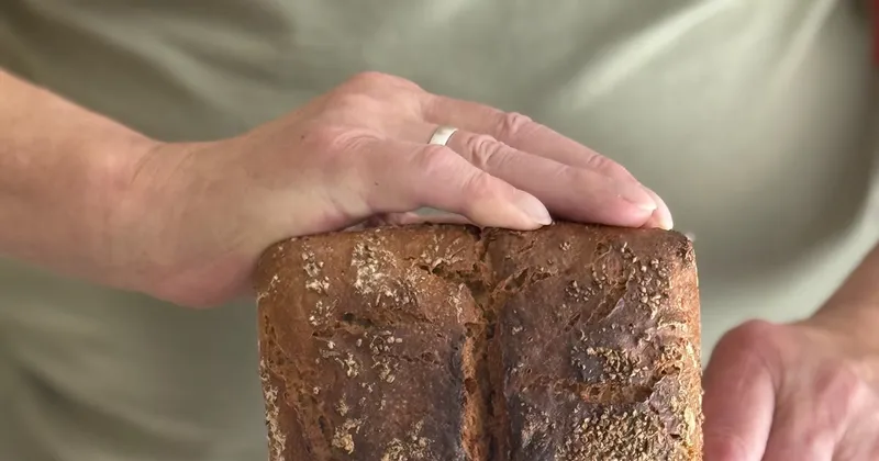 World Bread Day 2025: Reines Sauerteigbrot mir Kümmel