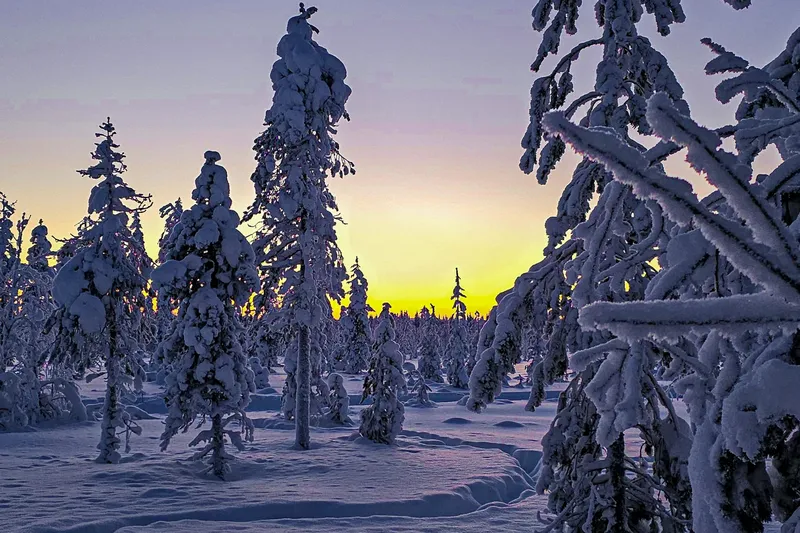 Lappland Kosten: Was unsere Reise nach Levi mit Kind gekostet hat