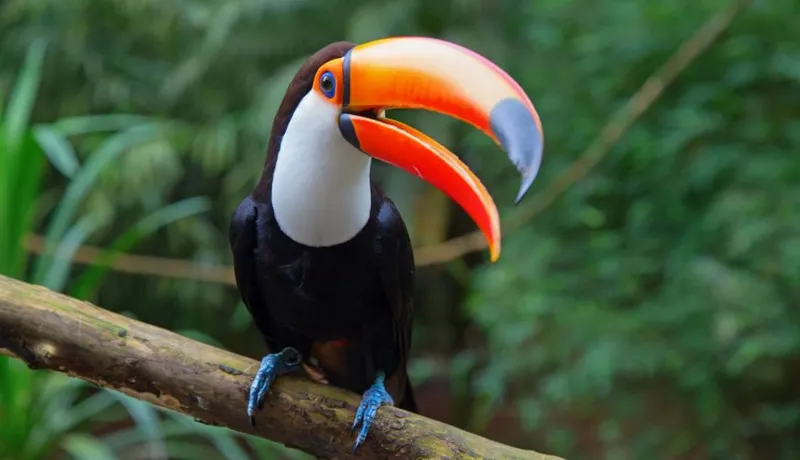 Leitfaden für Costa Rica Rundreisen