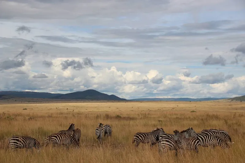 Kenia für Insider: Die Kunst der Maßarbeit