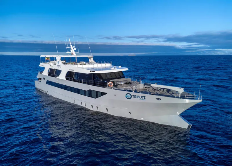 Jenseits des Horizonts: Entdecken Sie die Galapagos-Inseln in unvergleichlichem Luxus