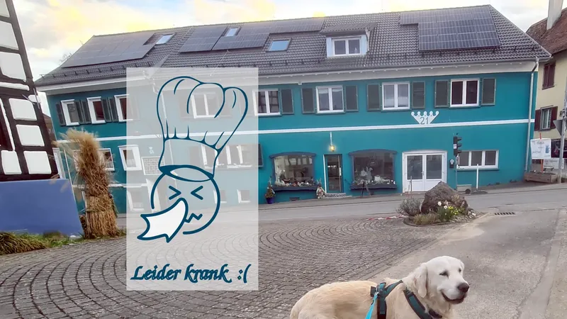 Ihr habt zu, weil krank?