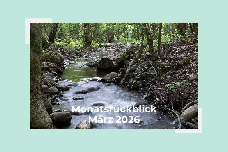Mein März im Flow: Wenn alles ins Fließen kommt