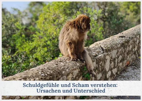 Schuldgefühle und Scham verstehen: Ursachen und Unterschied