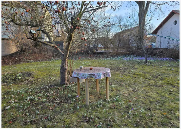 12tel-Blick Februar: Wenn der Boden aufbricht