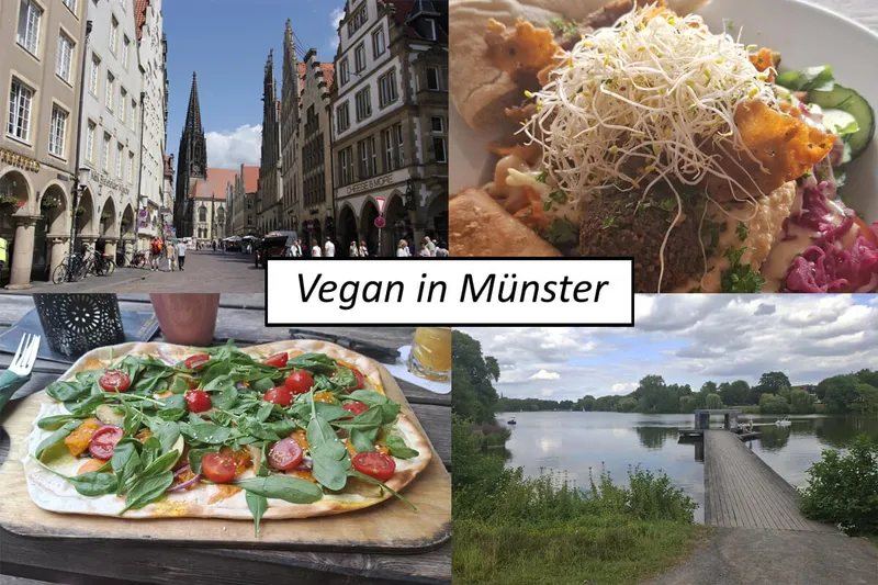 Vegan in Münster: meine Tipps für Restaurants und Cafés