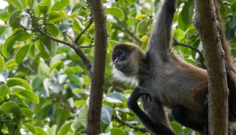 Costa Rica Tour