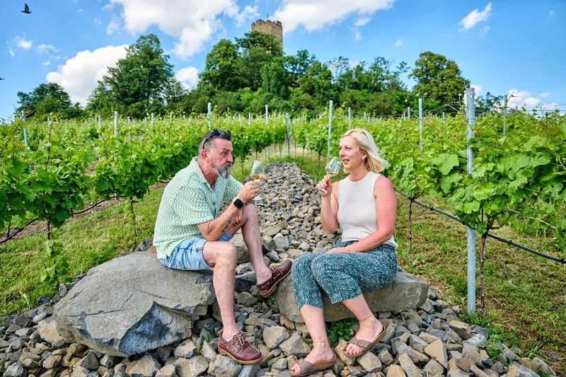 Weinwanderungen in der Sinsheimer Erlebnisregion
