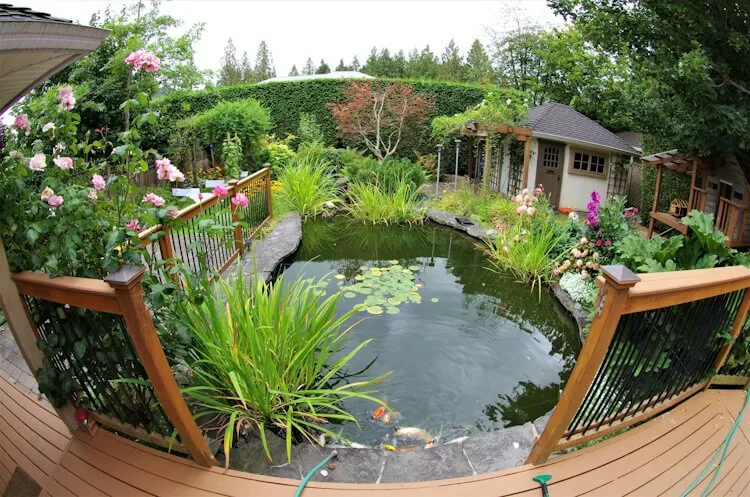 Ästhetik des Wassers: Gartengestaltung mit Teichen als zentrales Designelement