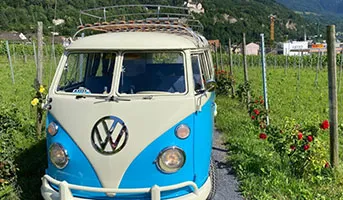 Wein- und Oldtimer-Erlebnis gewinnen
