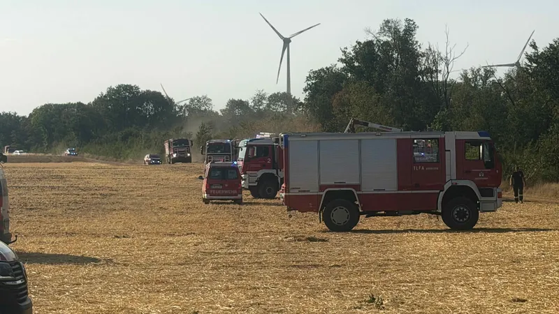 BFKDO Gänserndorf: B3 Vegetationsbrand im Raum Neusiedl an der Zaya