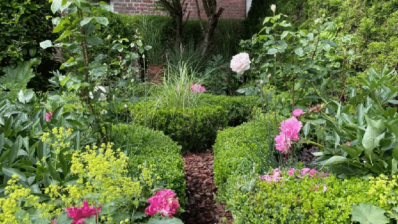 Lieblingsorte im Garten: Wie du die Orte findest, die wirklich zu dir passen