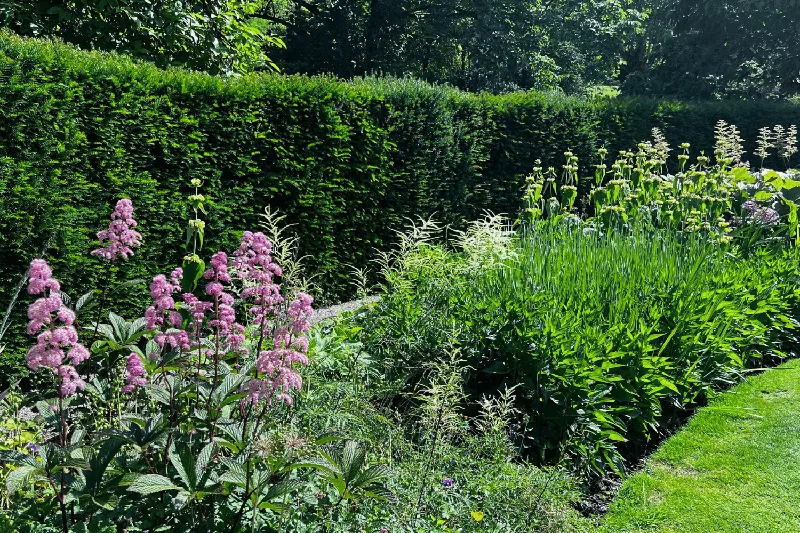 Genius Loci: Was macht deinen Garten unverwechselbar?