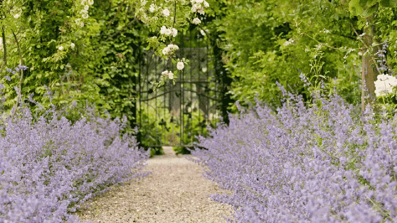 Blickbezüge im Garten: So schaffst du Weite und Privatsphäre