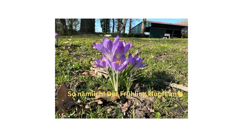 WMDEDGT März 2026