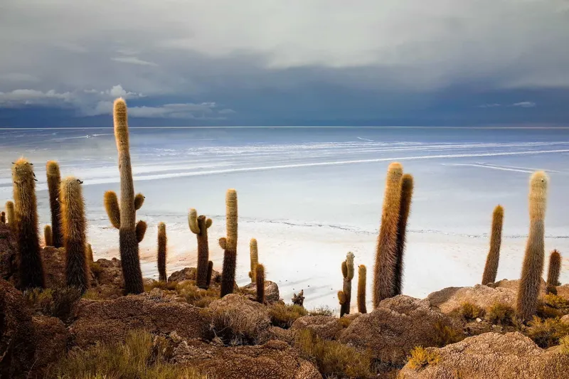 Salar de Uyuni: Tour, Kosten und beste Reisezeit