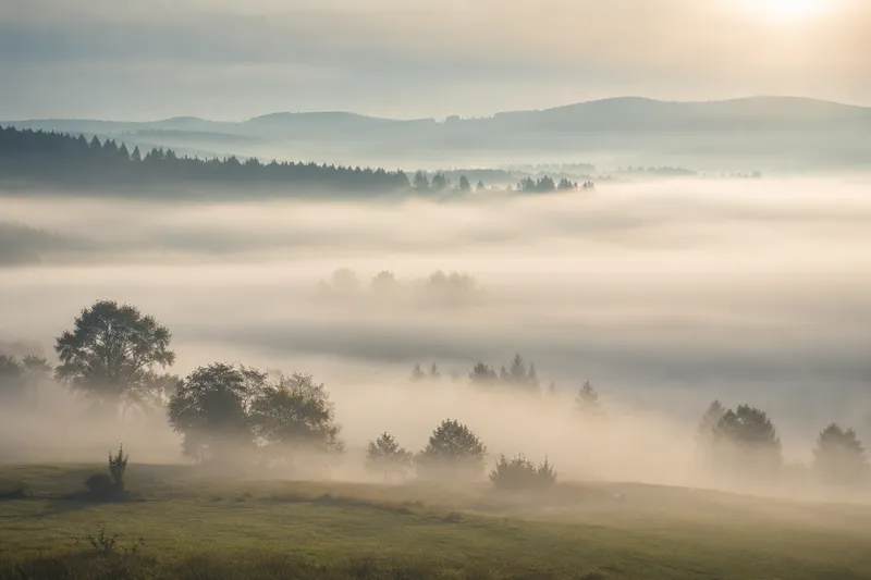 Nebel: Wie entsteht er und welche Arten gibt es?