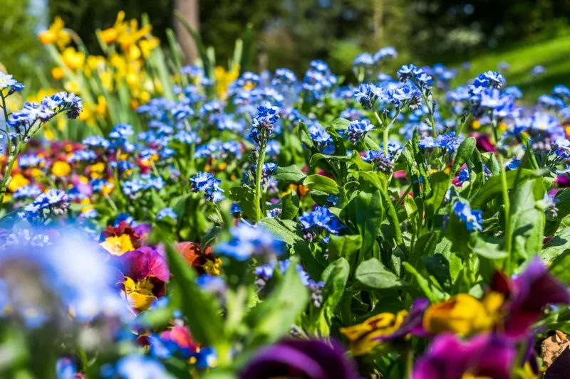 Töpfe ohne Untersetzer: Wann Wasserabfluss wichtiger ist als Sauberkeit