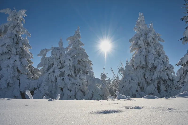 Wandern im Winter