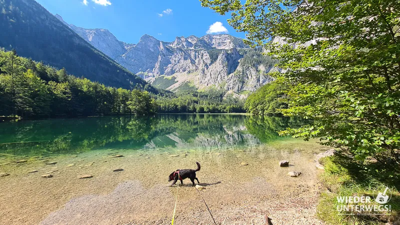 Einmal rund um die Langbathseen, bitte!
