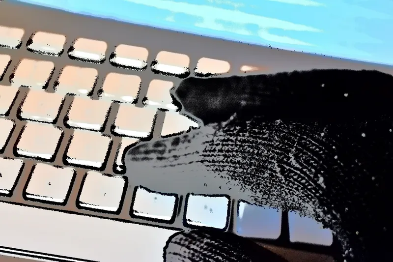 Phishing und Smishing – die Tricks der Online-Abzocker