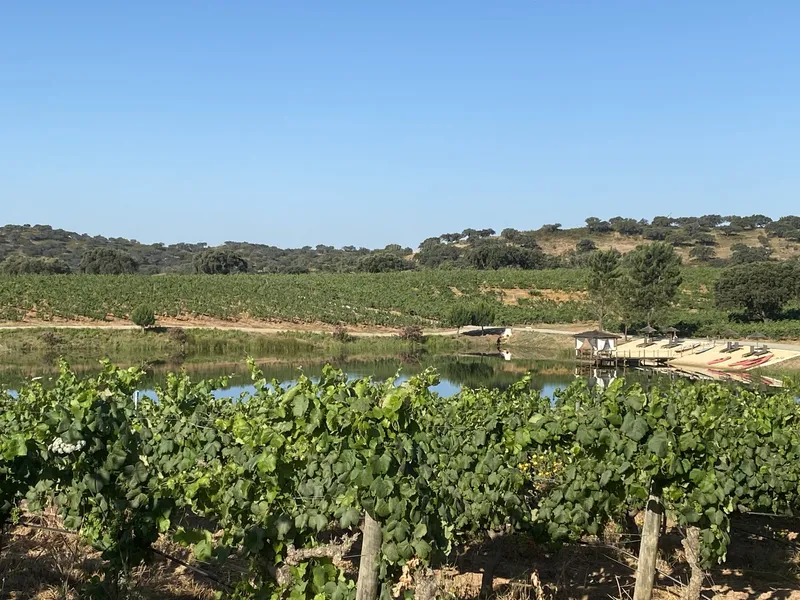 Weingut Herdade de Sobroso , Alentejo, Portugal