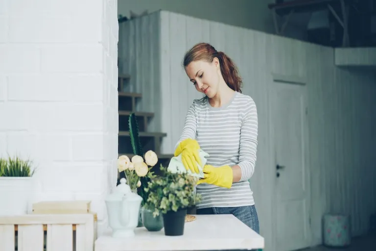 Philips Airfryer riecht nach Plastik – was tun