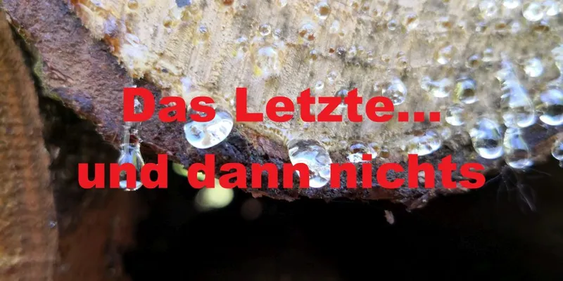 Das Letzte… und dann nichts