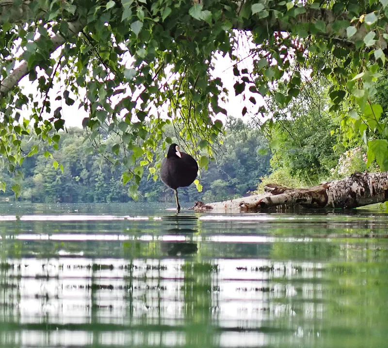 Sonntag, das ist… (38) Furchtar lyrisch werden