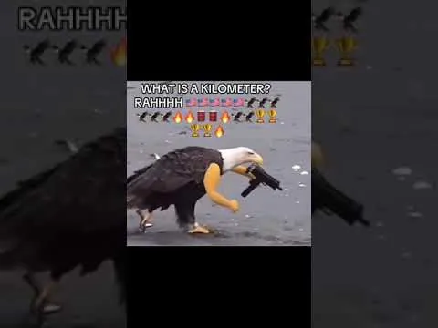 Ist Amerika noch zu retten?