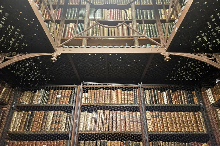 Nottebohmsaal in Antwerpen: Eine der schönsten Bibliotheken Belgiens