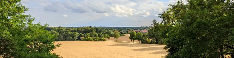 Glasmacherkunst, Kiefernmeer und Weinkultur bei Baruth (15,5 km)
