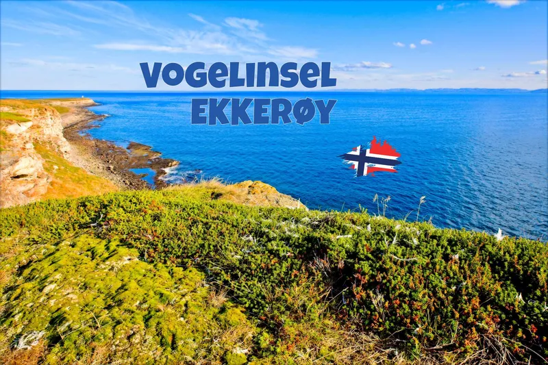 Rundwanderung auf Ekkerøy in Nordnorwegen: Vogelklippen, arktische Weite und wilde Küstenlandschaft