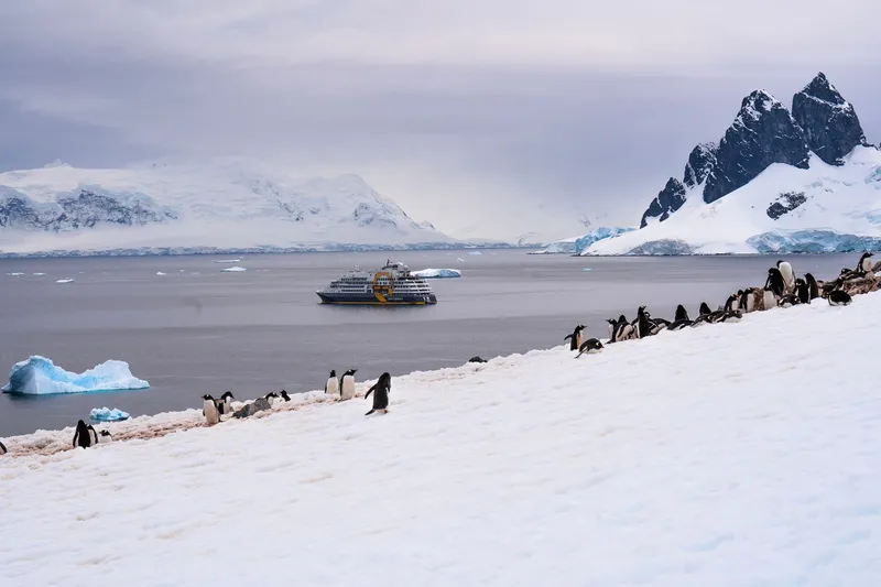 Expeditionskreuzfahrten 2025: Die exklusivsten Routen