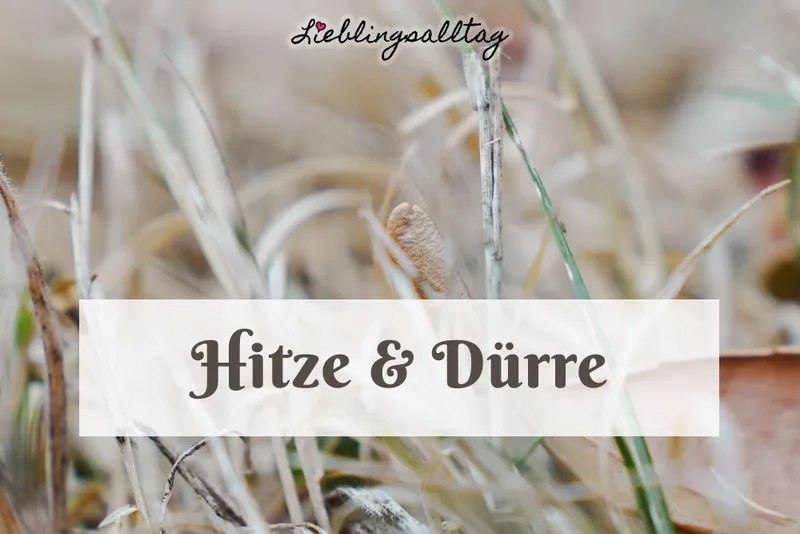 Hitze & Dürre.