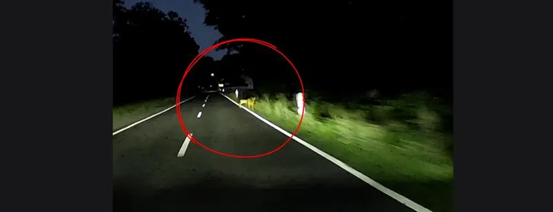 Wildwechsel: 50:50 und richtig entschieden