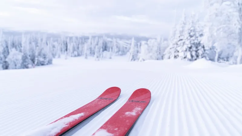 Skiën in Zweden: wat je moet weten voordat je gaat