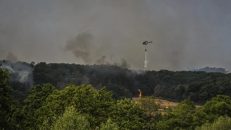 Waldbrand in der Eifel: Wohl der größte in der Geschichte NRWs