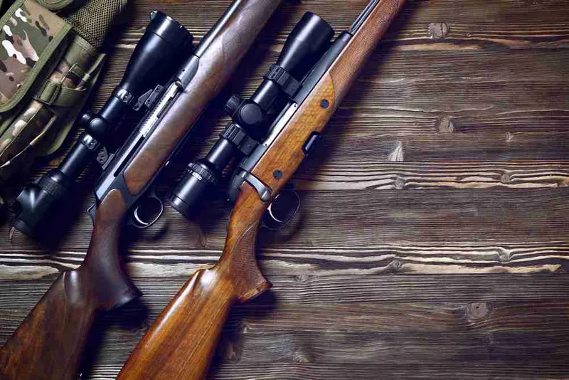 Den ersten Waffenschrank kaufen: Die 5 wichtigsten Tipps und Empfehlungen für Jungjäger