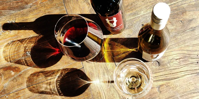 Dark Horse – Was Pferde, Wein und Schubladen gemeinsam haben