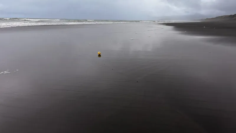 Kawhia Hot Water Beach: ein echter Neuseeland-Geheimtipp