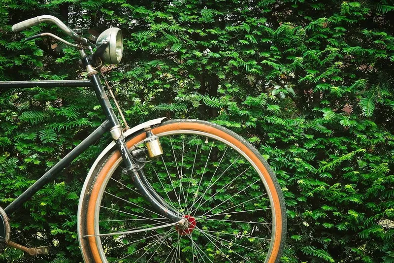 Kidical Mass XXL – diesmal für alle: Große Fahrraddemo für sichere Wege und Klimaschutz am 23. August in Lüneburg