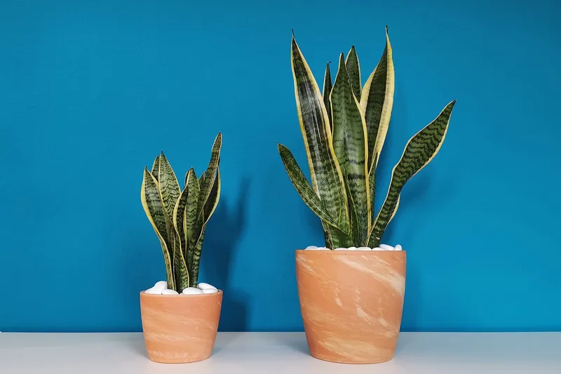 LinkedIn Recruiter vs. Recruiter Lite: Wählen Sie die richtige Lösung für Ihr Recruiting