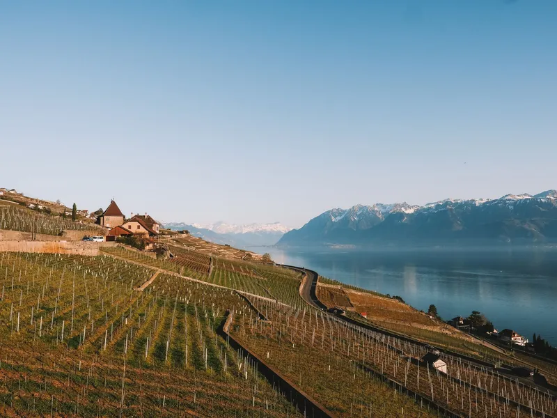 Lavaux Weinwanderung: UNESCO-Terrassen am Genfersee erleben