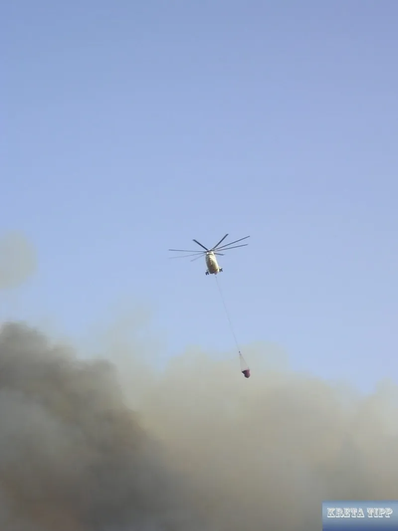 Update: Israelischer Tourist muss sich vor Gericht verantworten, nachdem ein Grill angeblich den Brand bei Sellia ausgelöst hat